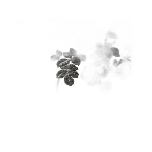 Herbarium print wallpaper