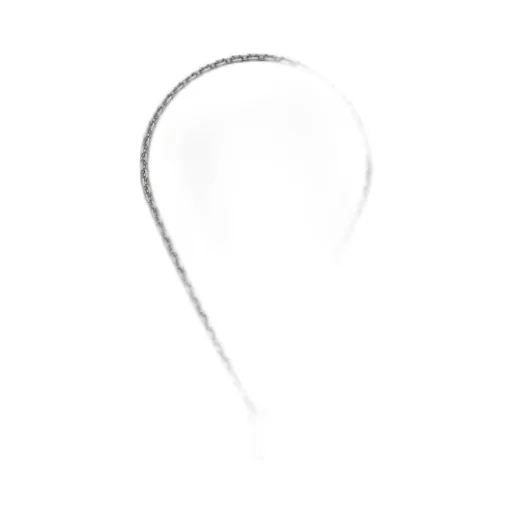Trademark chain necklace with padlock