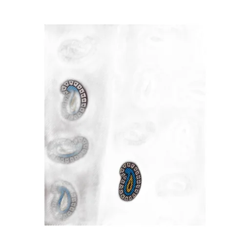 Printed silk twill skinny tie