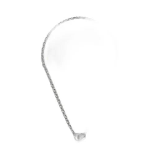 Trademark chain necklace with pendant