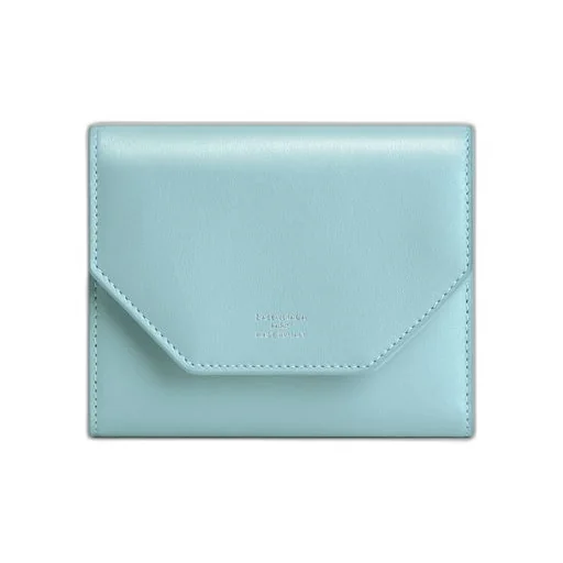 Envelope Bifold Wallet