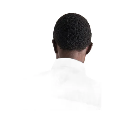 Embroidered poplin shirt