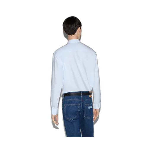 Striped cotton poplin shirt