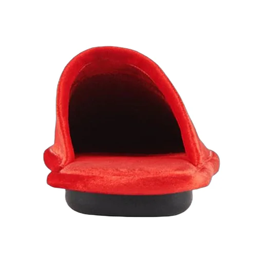 Home Embroidered Velvet Red Slippers