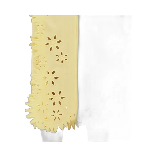 English Embroidery Viscose And Silk Dress