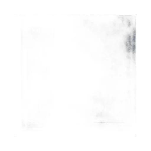 Back T-Shirt Medium Fit