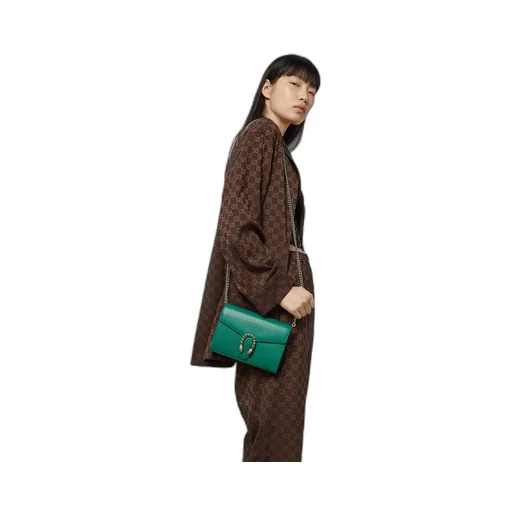 Dionysus leather mini chain bag