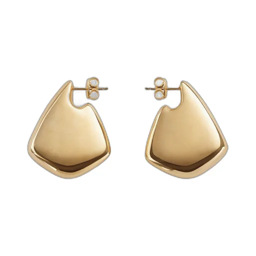 Small Fin Earrings