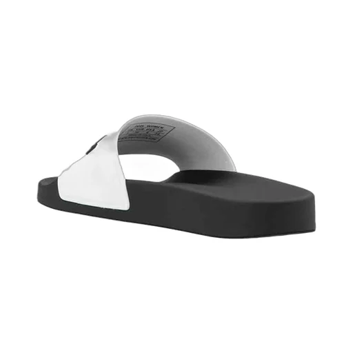 Pool Slides