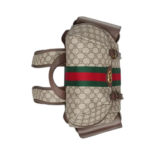 Ophidia GG medium backpack