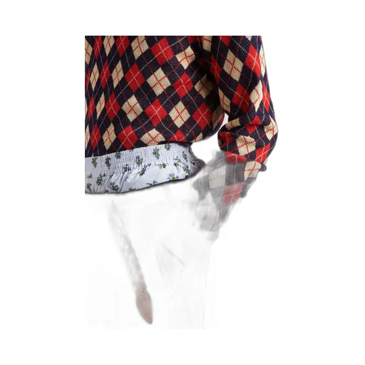 Argyle cotton sweater