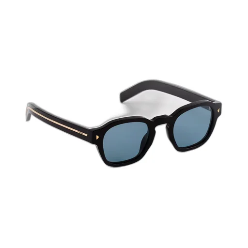 Sunglasses with iconic metal plaque