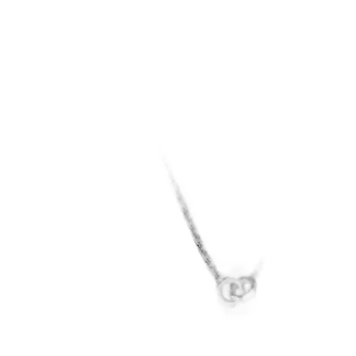Trademark chain necklace with pendant
