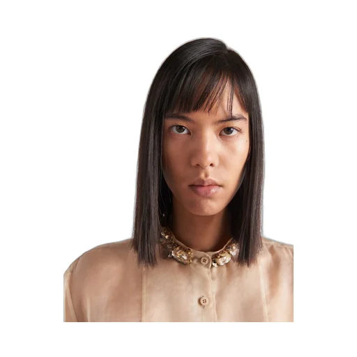 Embroidered organza shirt