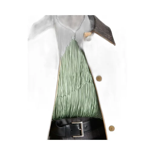 Organza top with fringe