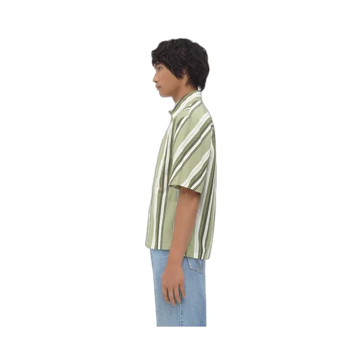 Striped Cotton Shirt