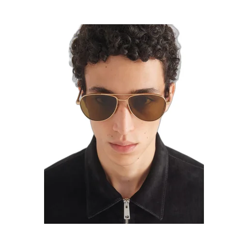 Sunglasses with iconic metal plaque