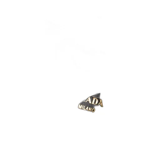 Prada Buckle leather bag with belt
