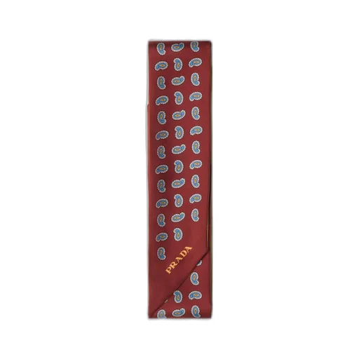 Printed silk twill skinny tie