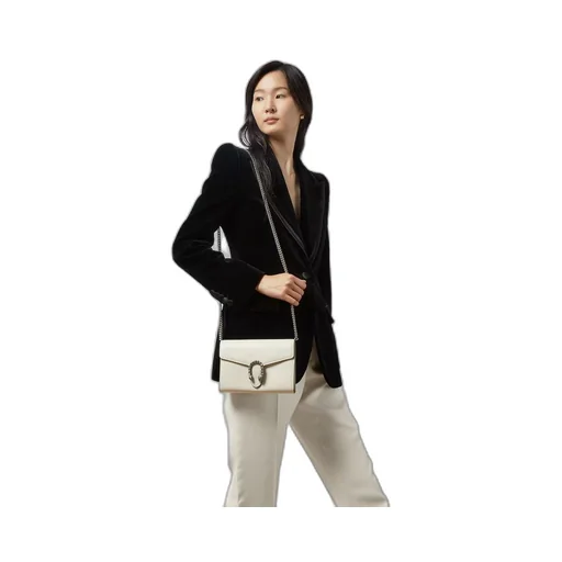Dionysus mini leather chain bag