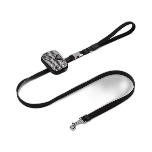 Re-Nylon pet leash