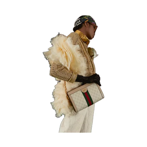 Ophidia GG small shoulder bag