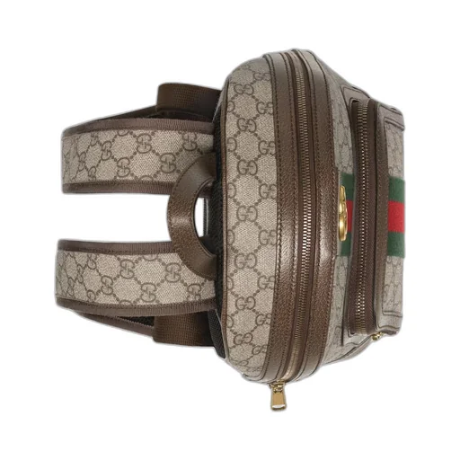Ophidia GG small backpack