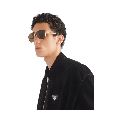 Sunglasses with iconic metal plaque