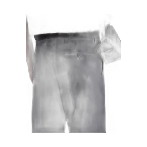 Wool and mohair pants