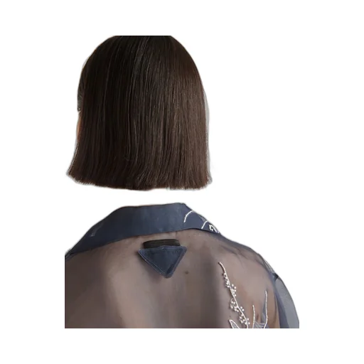 Embroidered organza shirt