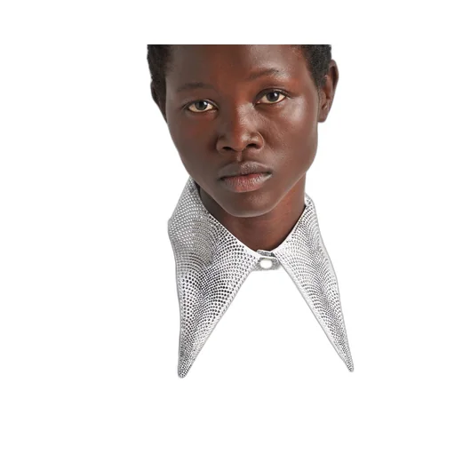 Embroidered poplin shirt