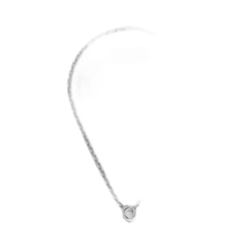 Trademark chain necklace with pendant