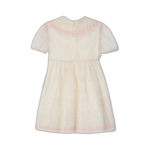 Children's tulle dress with embroidery