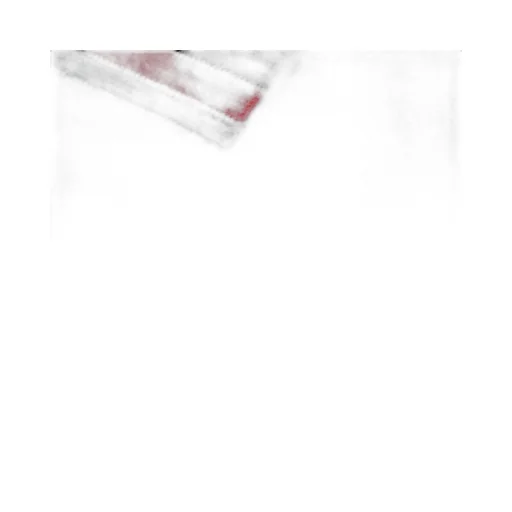 Cotton polo shirt with Web