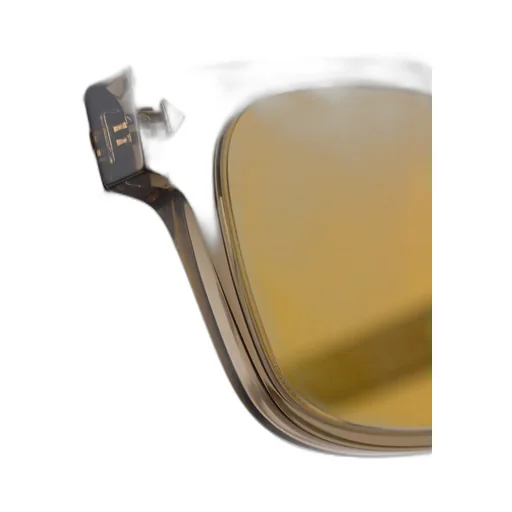 Sunglasses with iconic metal plaque