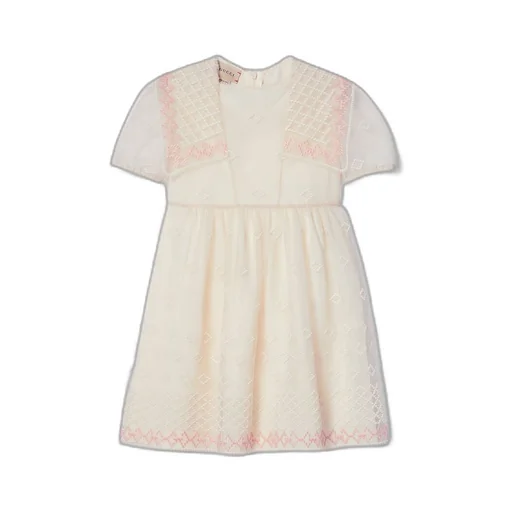 Children's tulle dress with embroidery
