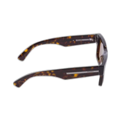 Sunglasses with iconic metal plaque