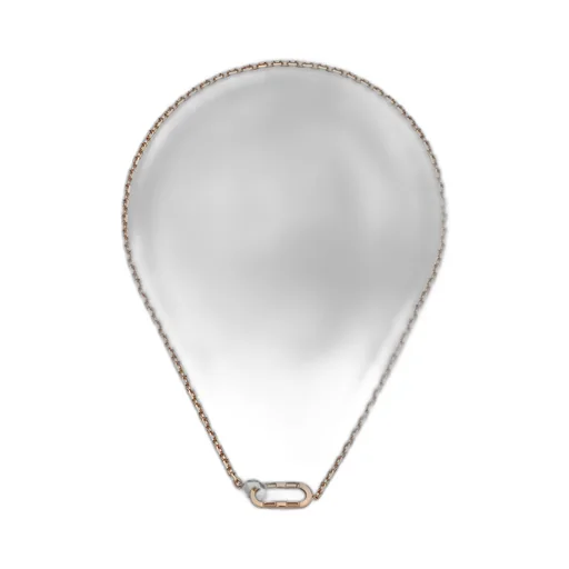 Gucci Link to Love chain necklace