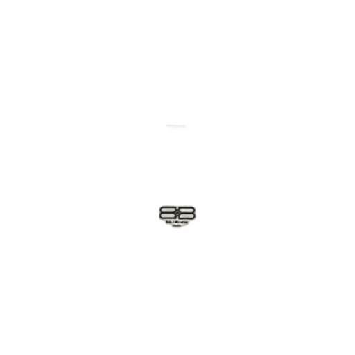 BB Center Logo Tee