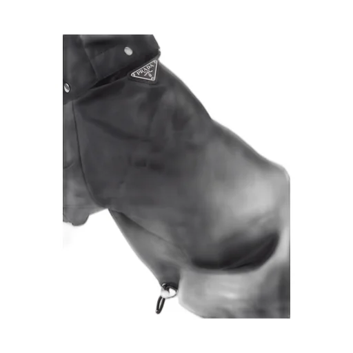 Re-Nylon dog raincoat with hood