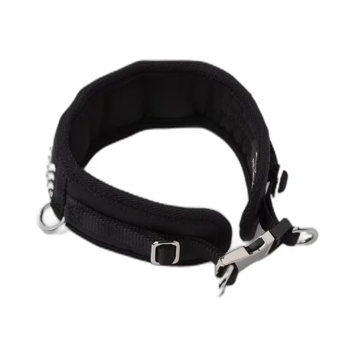 Crystal-studded satin pet collar