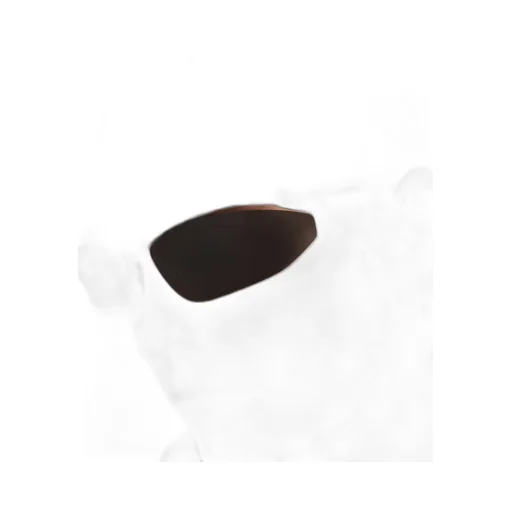 Prada Morph sunglasses