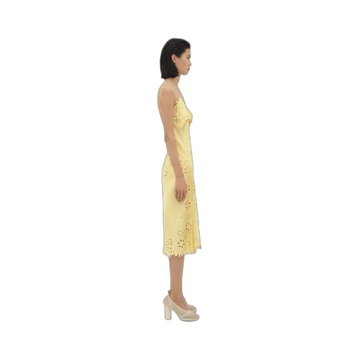 English Embroidery Viscose And Silk Dress
