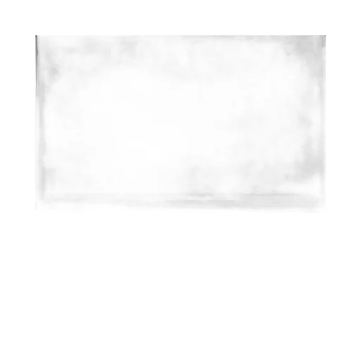 Back T-Shirt Medium Fit