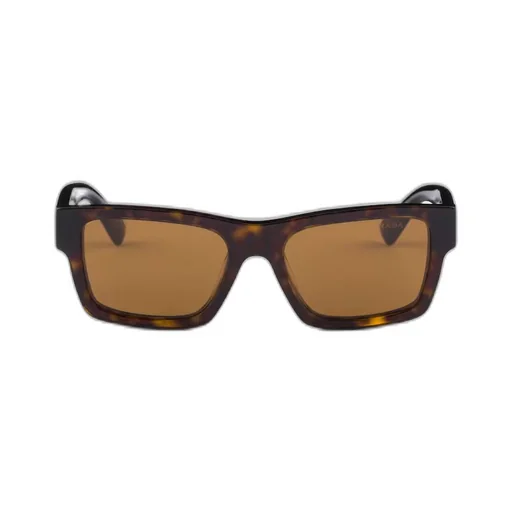 Sunglasses with iconic metal plaque