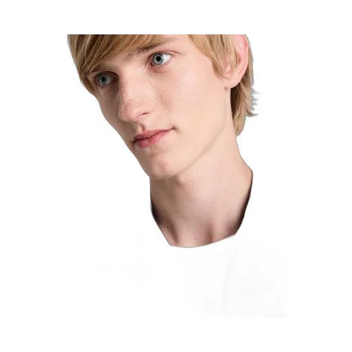 Short-sleeved technical cotton shirt