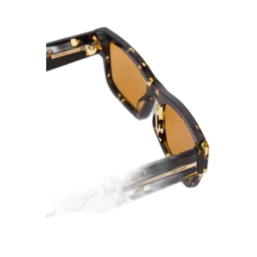 Sunglasses with iconic metal plaque