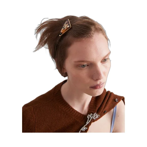 Plexiglas and metal hair clip