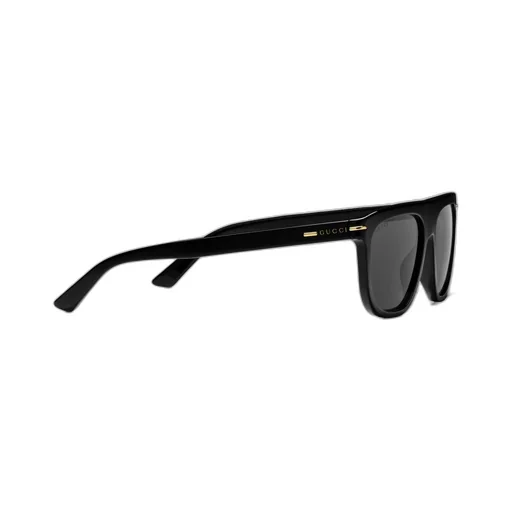 Oval frame sunglasses