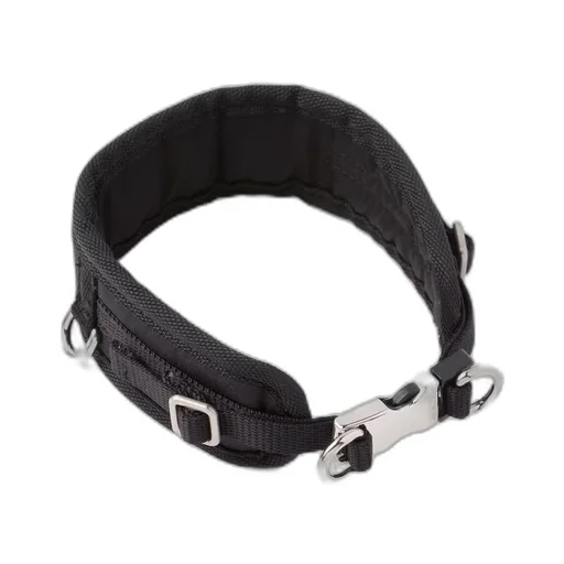 Re-Nylon pet collar